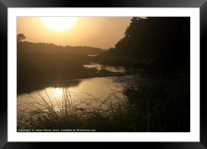 Sunset at Chitwan National Park Framed Mounted Print by Aidan Moran