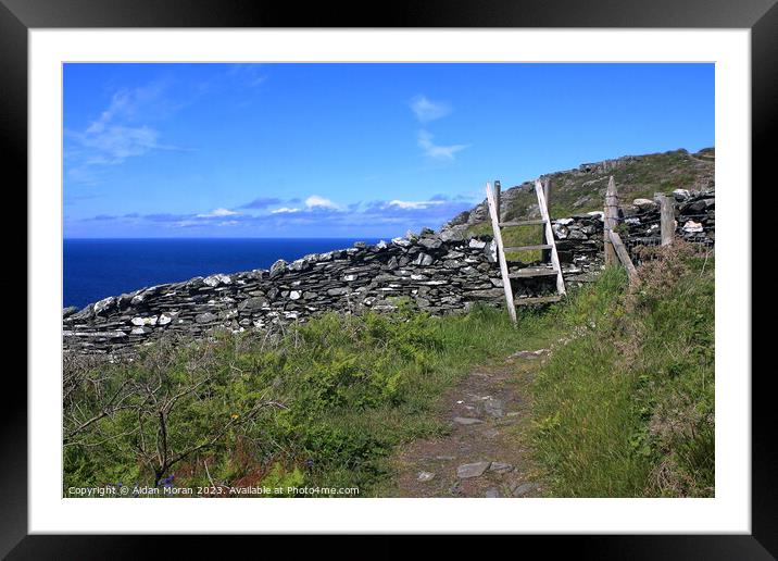 Costal Pathway on the Isle of Man Framed Mounted Print by Aidan Moran