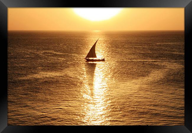  African Dhow At Sunset  Framed Print by Aidan Moran