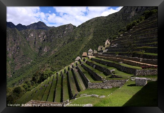 Machu Picchu Terraced Sector  Framed Print by Aidan Moran