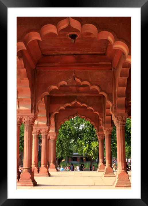 Engrailed Arches, Red Fort, New Delhi, India  Framed Mounted Print by Aidan Moran