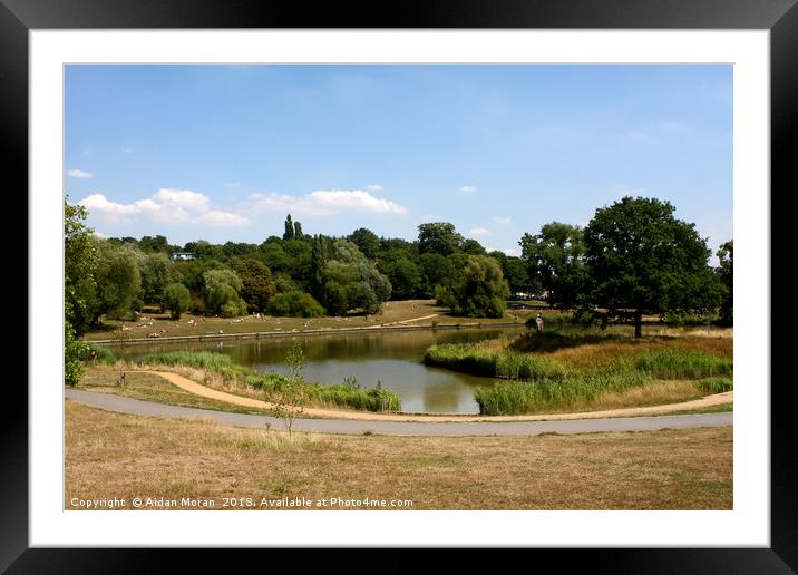 Hampstead Heath, London    Framed Mounted Print by Aidan Moran