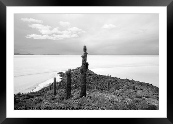 Giant Cacti on Isla Incahuasi, Bolivia   Framed Mounted Print by Aidan Moran