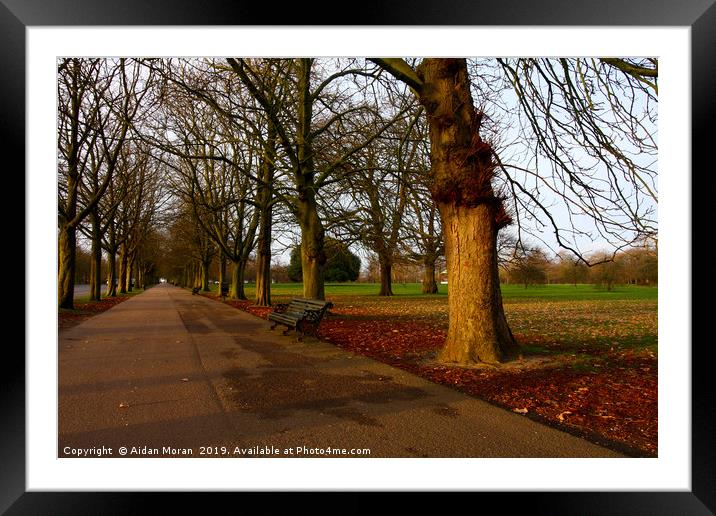 Enchanting Sunset in Historic Greenwich Park Framed Mounted Print by Aidan Moran