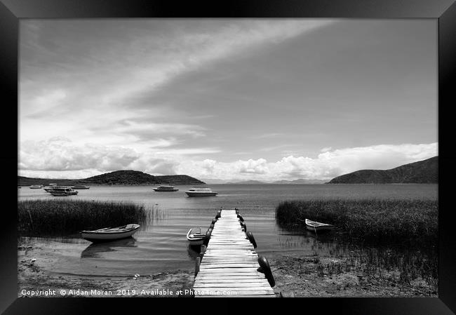 Lake Titicaca, Bolivia   Framed Print by Aidan Moran