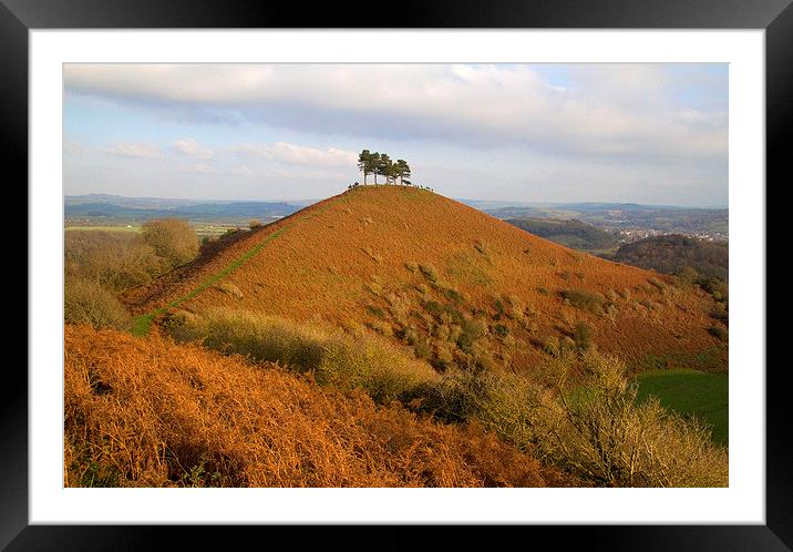 Colmers Hill, Bridport, Dorset Framed Mounted Print by Colin Tracy