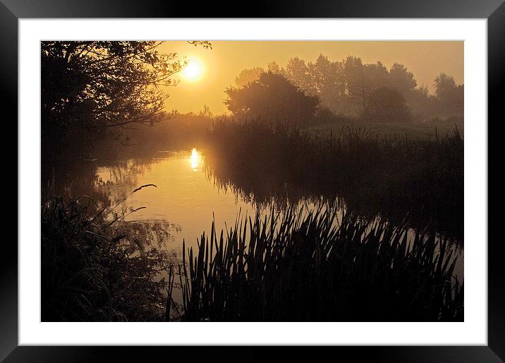 River Frome Dawn Framed Mounted Print by Colin Tracy