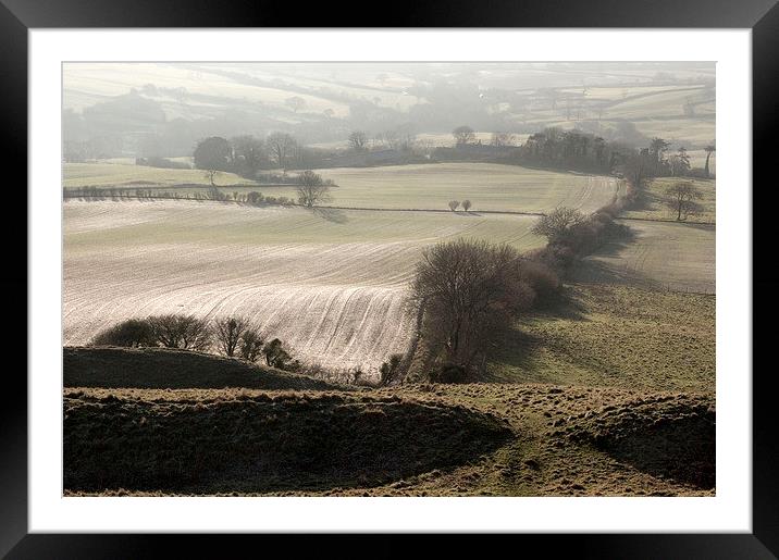 West from Eggardon Hill Framed Mounted Print by Colin Tracy
