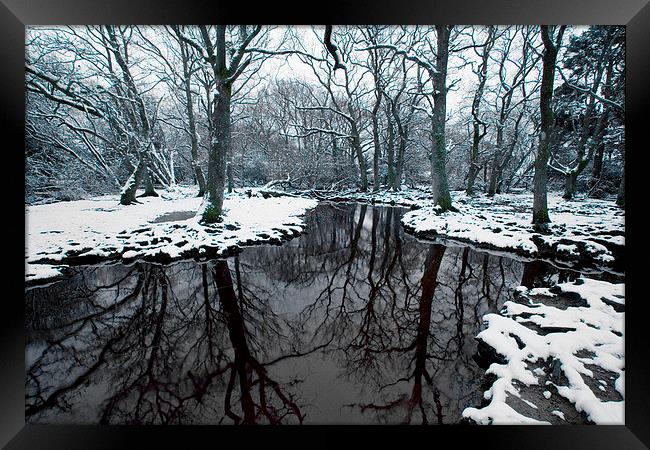 Ober Water Winter  Framed Print by Colin Tracy