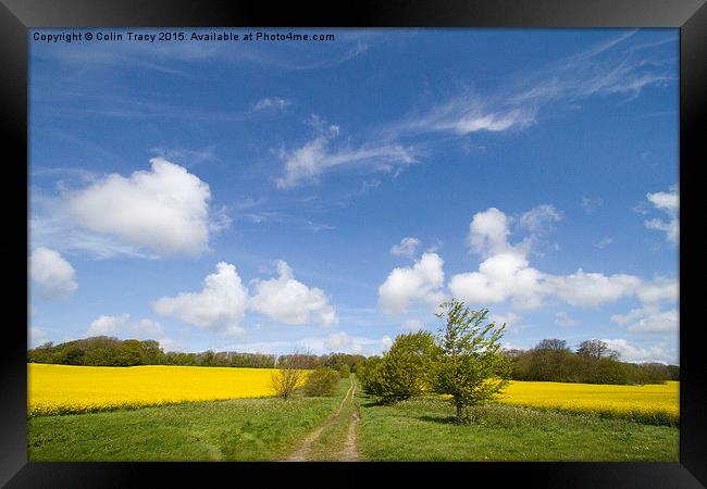  Trackway between rape fields Framed Print by Colin Tracy