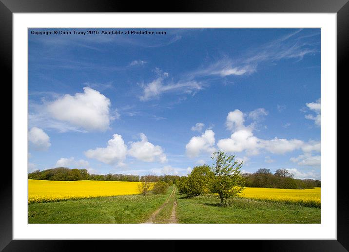  Trackway between rape fields Framed Mounted Print by Colin Tracy