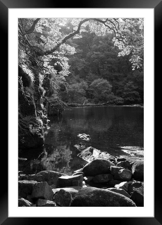 River Dart, Devon on a summer's evening Framed Mounted Print by Colin Tracy