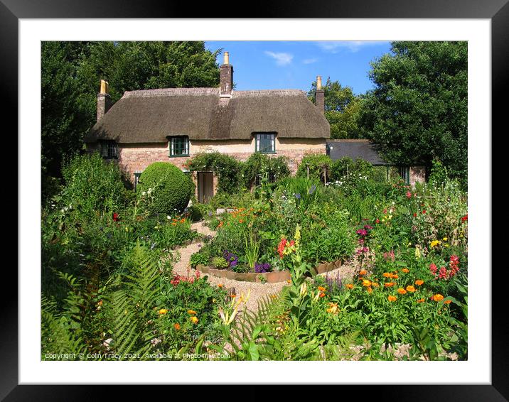 Hardy's Cottage, Near Dorchester, Dorset, UK Framed Mounted Print by Colin Tracy