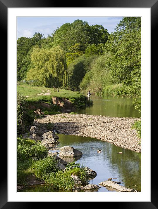 On The River Otter Framed Mounted Print by David Merrifield