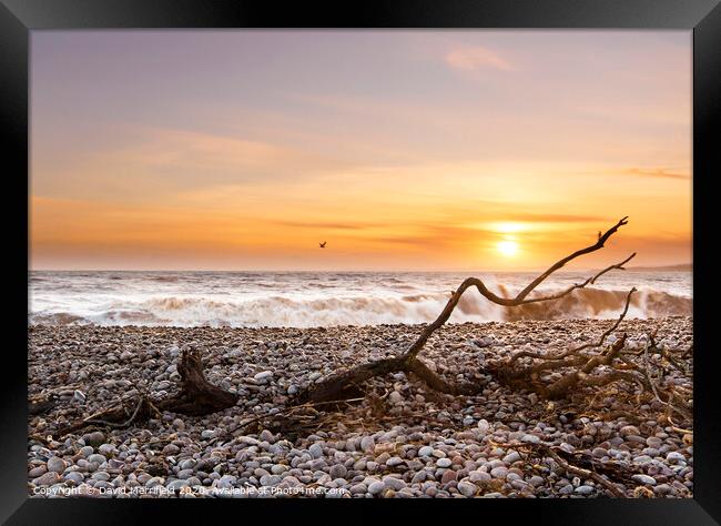 After the Storm - Budleigh Salterton Framed Print by David Merrifield