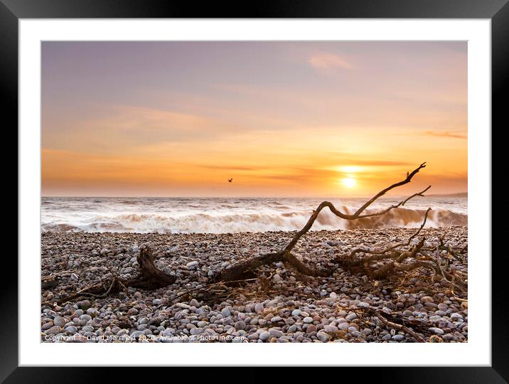 After the Storm - Budleigh Salterton Framed Mounted Print by David Merrifield