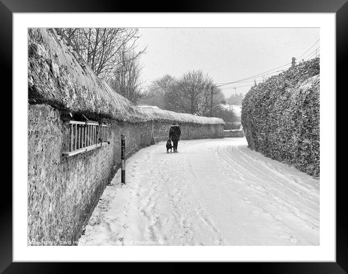 The old cob wall at Colaton Raleigh during the snow. Framed Mounted Print by David Merrifield