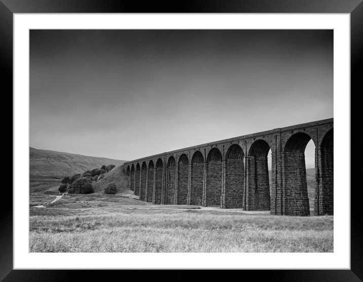 Below Ribblehead Viaduct Framed Mounted Print by David McCulloch