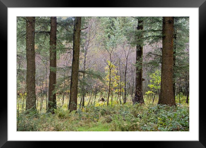 A painterly view Framed Mounted Print by David McCulloch