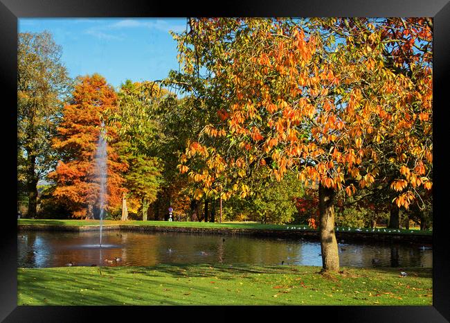 Autumn by the fountain Framed Print by David McCulloch