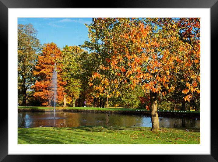 Autumn by the fountain Framed Mounted Print by David McCulloch