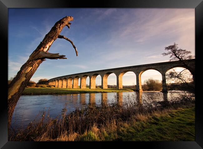 Arthington Viaduct revealed Framed Print by David McCulloch