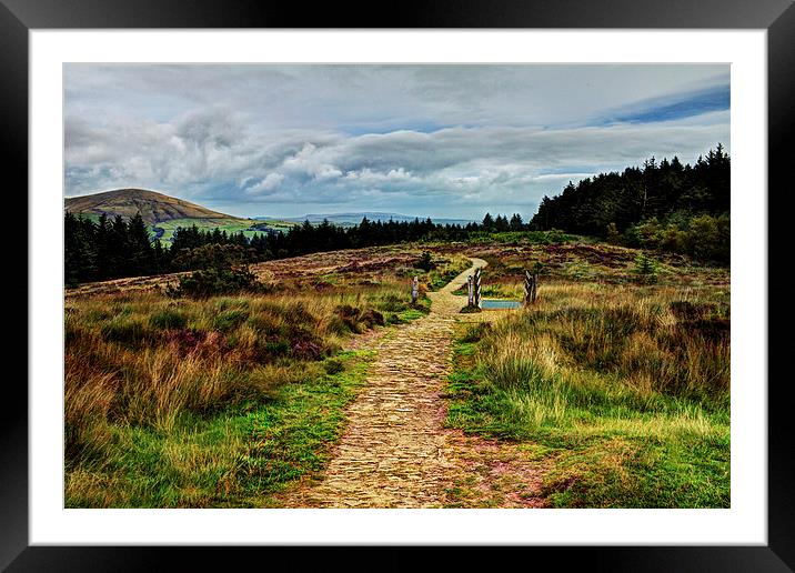  Path from the Summit Framed Mounted Print by David McCulloch