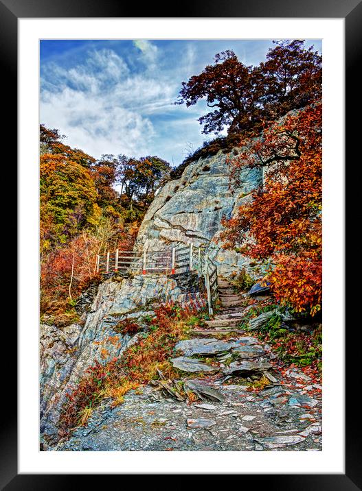 Autumn's Pastel Shades Framed Mounted Print by David McCulloch