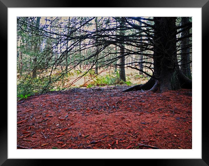 shedding for winter Framed Mounted Print by David McCulloch