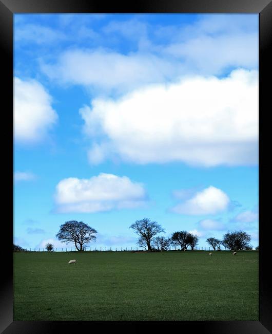 Spring Clouds Framed Print by David McCulloch