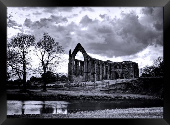 Bolton Abbey Framed Print by David McCulloch