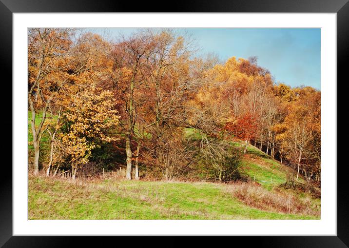 Colourful Autumn Framed Mounted Print by David McCulloch