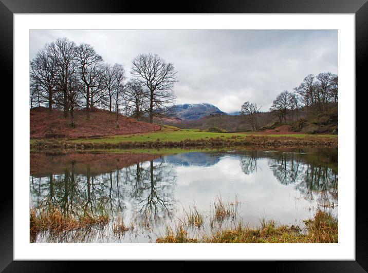 Reflections after Winter Framed Mounted Print by David McCulloch