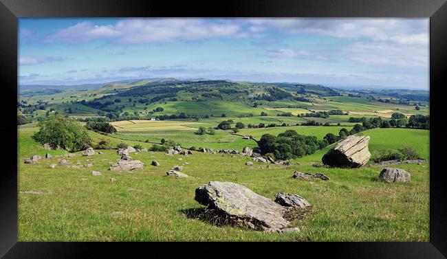 Dales Panorama Framed Print by David McCulloch