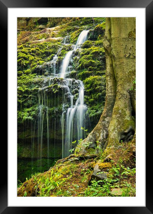 Flowing behind the tree Framed Mounted Print by David McCulloch