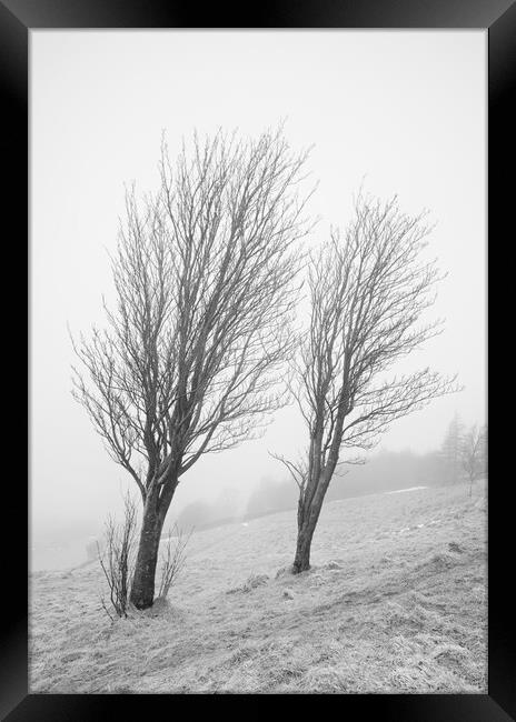 On a misty windy hill Framed Print by David McCulloch