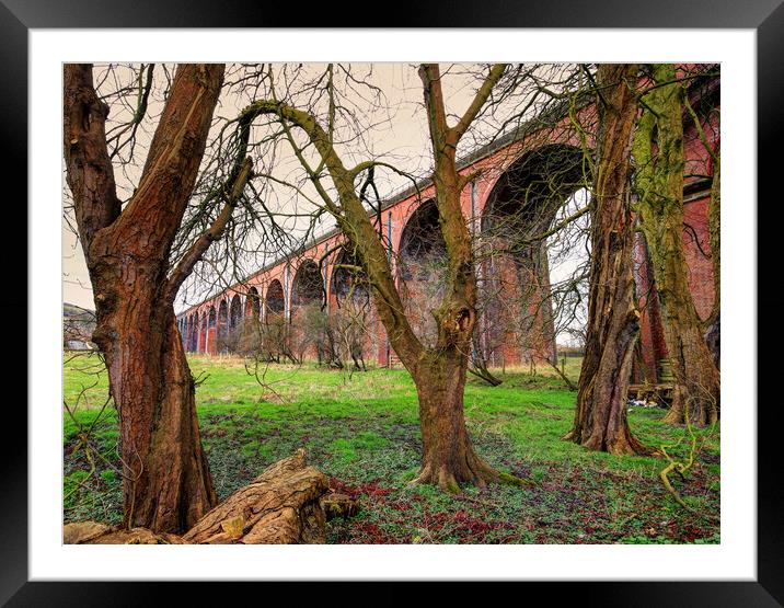 Trees by the viaduct Framed Mounted Print by David McCulloch
