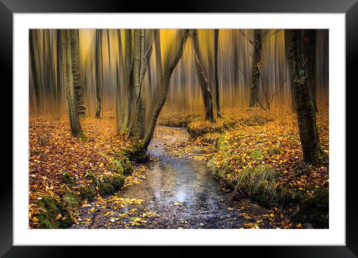 Autumn in Blean Framed Mounted Print by Ian Hufton
