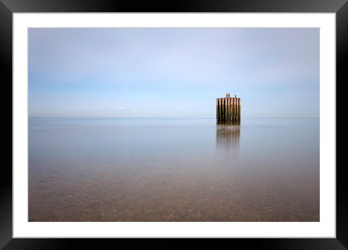 Whitstable Dolphin Framed Mounted Print by Ian Hufton