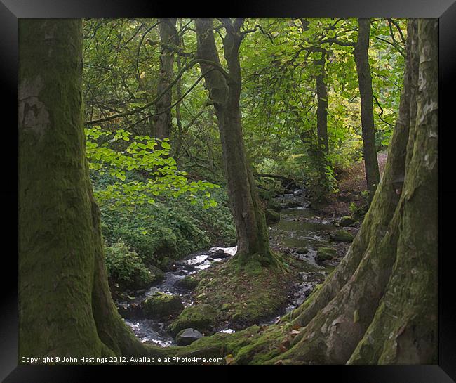 Tranquil Stream in Orry Woods Framed Print by John Hastings