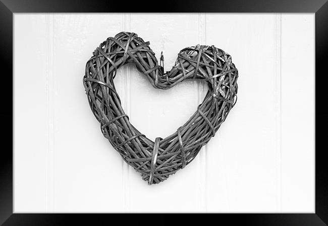Willow Heart Framed Print by Helen Northcott