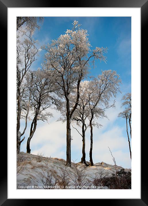 Ice Covered Trees Framed Mounted Print by Helen Northcott