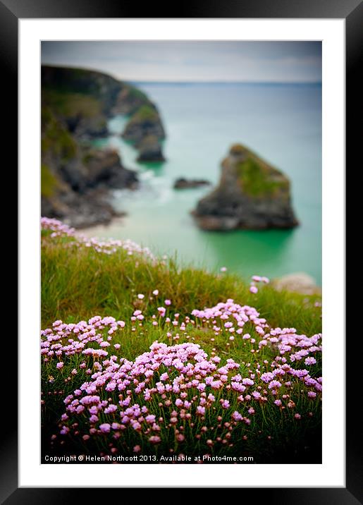 Wild Sea Pinks in Cornwall Framed Mounted Print by Helen Northcott