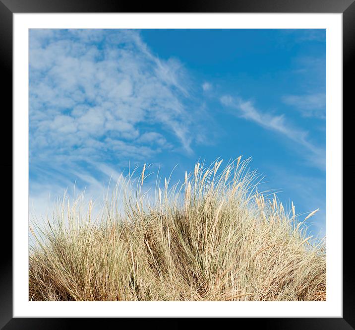 Blue Sky and Maran Grass Framed Mounted Print by Helen Northcott