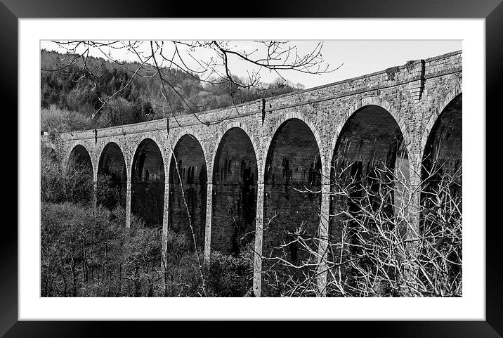  Shilla Mill Viaduct Framed Mounted Print by Helen Northcott
