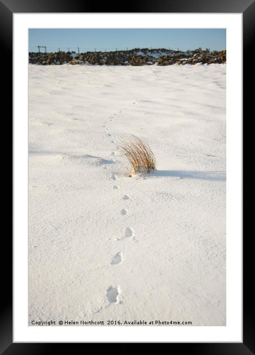 Footprints in the Snow ii Framed Mounted Print by Helen Northcott