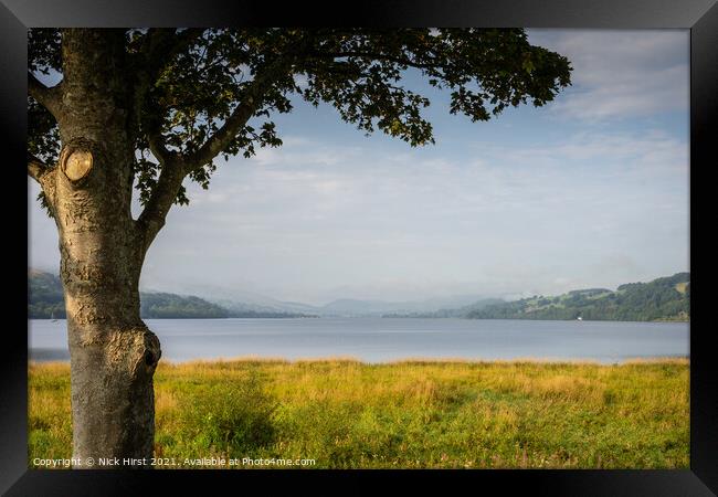 Tree by the Lake Framed Print by Nick Hirst