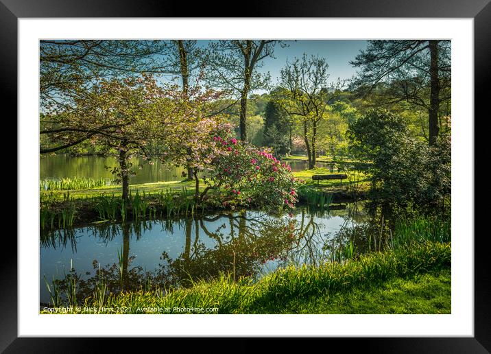 Reaching for the Water Framed Mounted Print by Nick Hirst