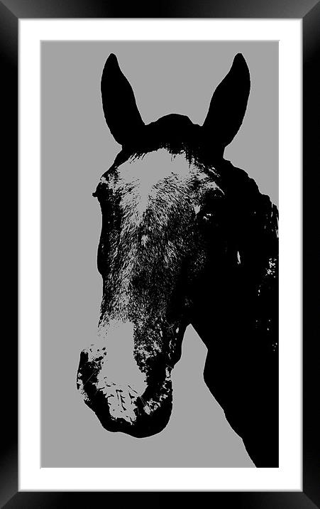 Horse Print Framed Mounted Print by Matt Knight