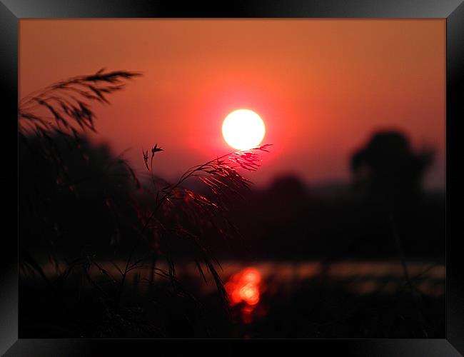 Red Sunset On Grassy Fingers Framed Print by Gary Barratt